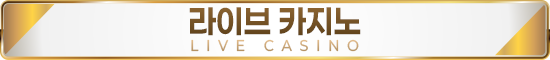 라이브카지노